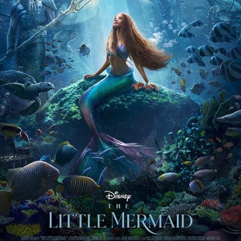 The Little Mermaid Live Action Film out 26th May 2023 - Planet Mermaid